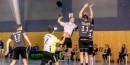 Abbruch der Handball-Saison Traurig für die Fans und auch für die Spieler