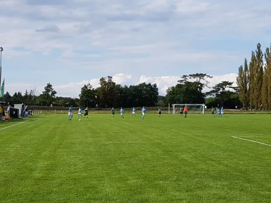 02.09.2017 SV Grün-Weiß Wörlitz II vs. SV Germania Roßlau II