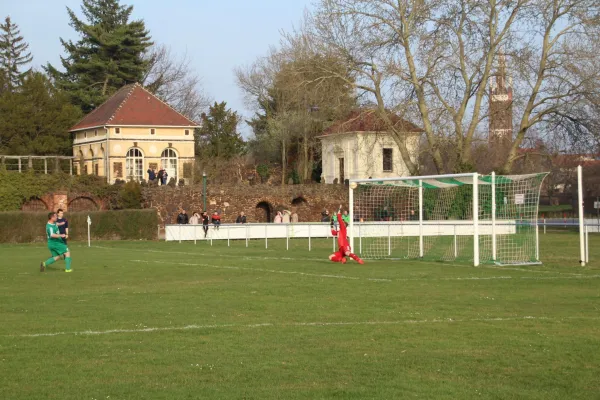 23.03.2019 SV Grün-Weiß Wörlitz vs. SV Germania Roßlau