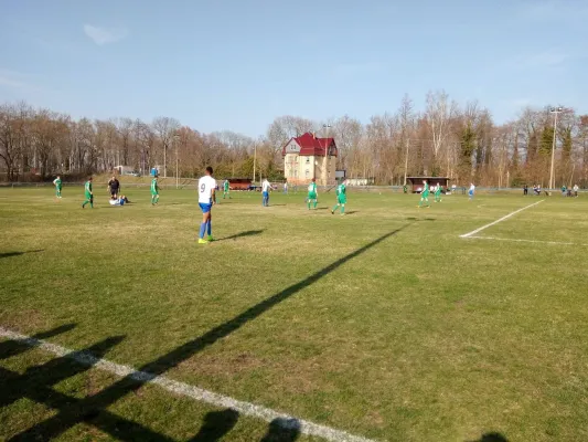 30.03.2019 TSV Mosigkau vs. SV Grün-Weiß Wörlitz