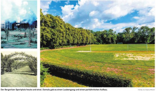 ESV Bergwitz: Hallervordens Stadion?