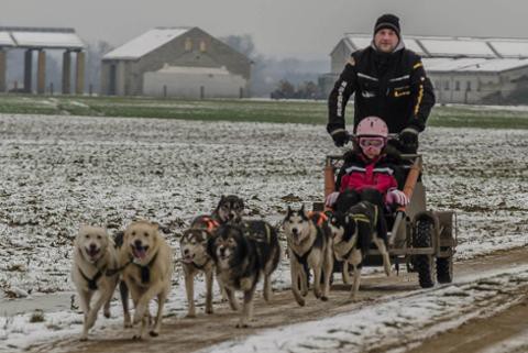 Husky-Power in Wörlitz