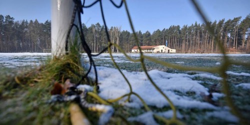 Nach Auschwitz-Äußerung von Fan VfB Görzig weigert sich Geld