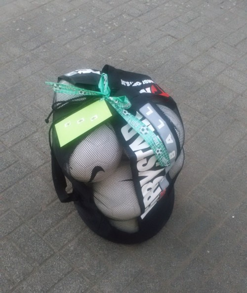 Vielen Dank Familie Schmidt aus Wörlitz für 11 neue Bälle