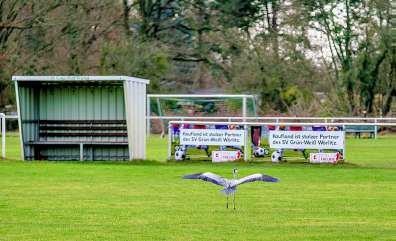 Auf Sportplatz wird gereihert