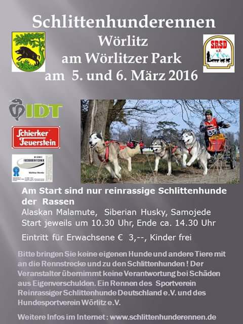 Schlittenhunderennen am Sportplatz
