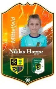Niklas Max Hoppe