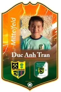Duc Anh Tran