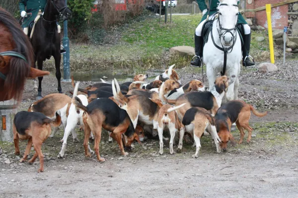 Frühlingserwachen 2016