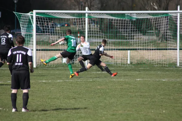 Pokalviertelfinale 26.03.16 gg TSV Rot-Weiß Zerbst