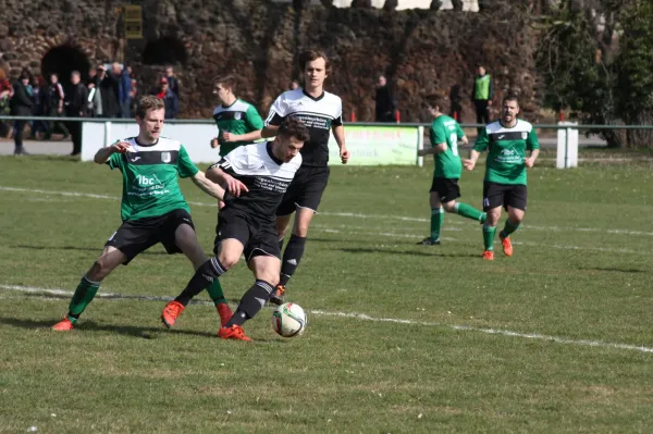 Pokalviertelfinale 26.03.16 gg TSV Rot-Weiß Zerbst