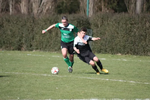 Pokalviertelfinale 26.03.16 gg TSV Rot-Weiß Zerbst