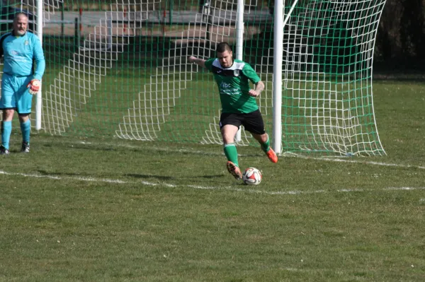 Pokalviertelfinale 26.03.16 gg TSV Rot-Weiß Zerbst