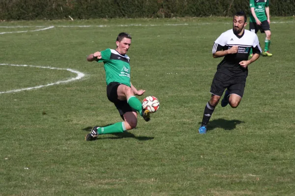 Pokalviertelfinale 26.03.16 gg TSV Rot-Weiß Zerbst