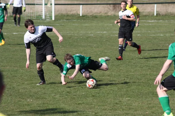 Pokalviertelfinale 26.03.16 gg TSV Rot-Weiß Zerbst