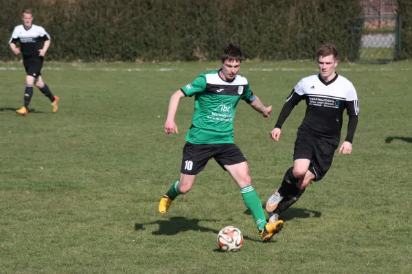 Pokalviertelfinale 26.03.16 gg TSV Rot-Weiß Zerbst