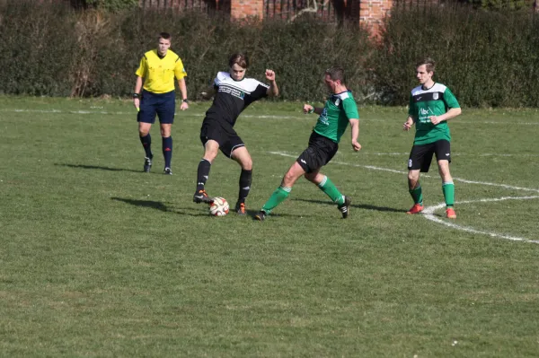 Pokalviertelfinale 26.03.16 gg TSV Rot-Weiß Zerbst