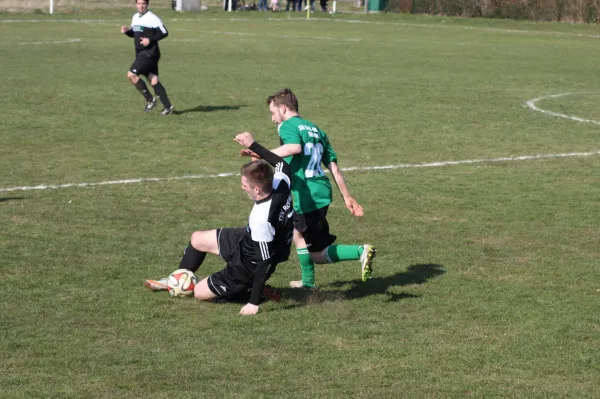 Pokalviertelfinale 26.03.16 gg TSV Rot-Weiß Zerbst