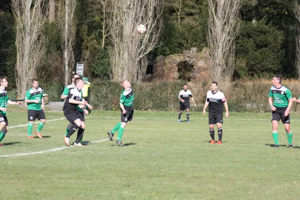 Pokalviertelfinale 26.03.16 gg TSV Rot-Weiß Zerbst