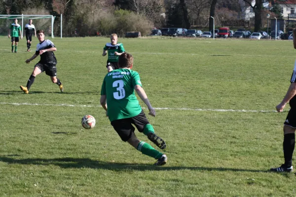 Pokalviertelfinale 26.03.16 gg TSV Rot-Weiß Zerbst