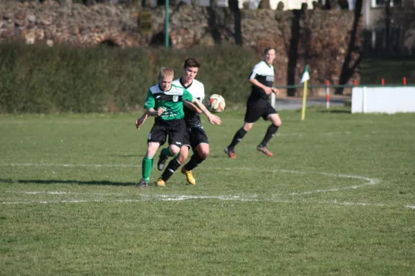 Pokalviertelfinale 26.03.16 gg TSV Rot-Weiß Zerbst