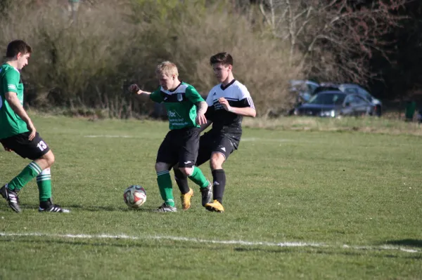 Pokalviertelfinale 26.03.16 gg TSV Rot-Weiß Zerbst