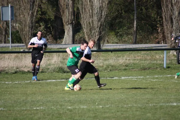 Pokalviertelfinale 26.03.16 gg TSV Rot-Weiß Zerbst