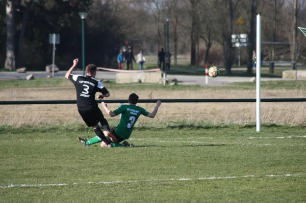 Pokalviertelfinale 26.03.16 gg TSV Rot-Weiß Zerbst