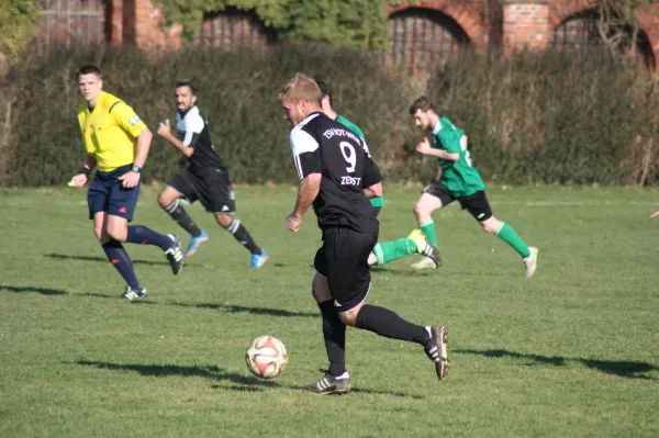 Pokalviertelfinale 26.03.16 gg TSV Rot-Weiß Zerbst