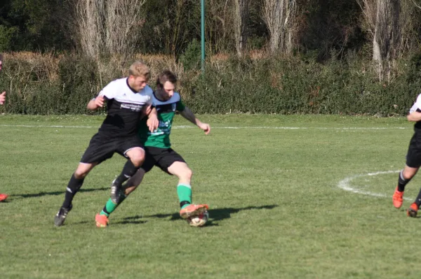 Pokalviertelfinale 26.03.16 gg TSV Rot-Weiß Zerbst