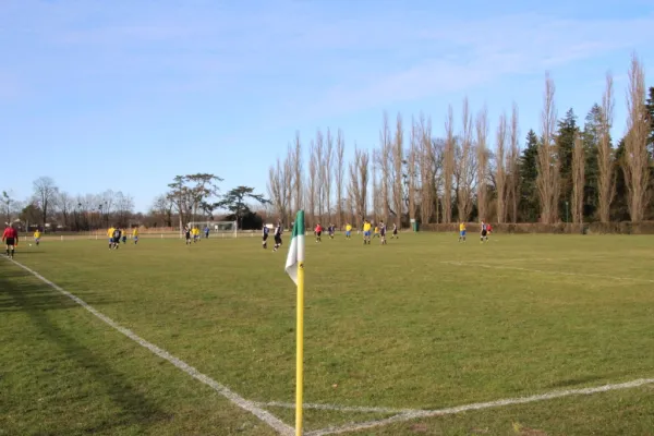 Heimspiel gegen FSG Walternienburg/Güterglück