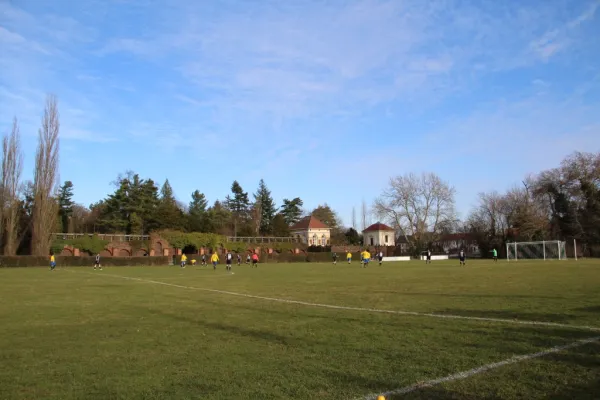 Heimspiel gegen FSG Walternienburg/Güterglück