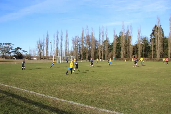 Heimspiel gegen FSG Walternienburg/Güterglück