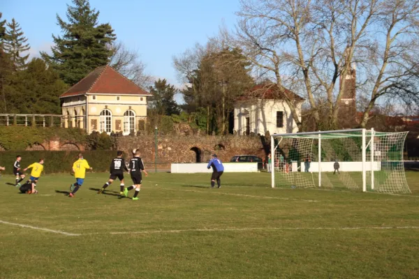 Heimspiel gegen FSG Walternienburg/Güterglück