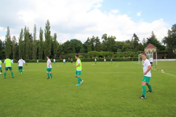 Meister 2017 - Letztes Spiel vs Abus Dessau 10.06.