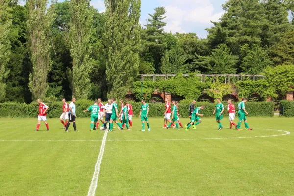 Meister 2017 - Letztes Spiel vs Abus Dessau 10.06.