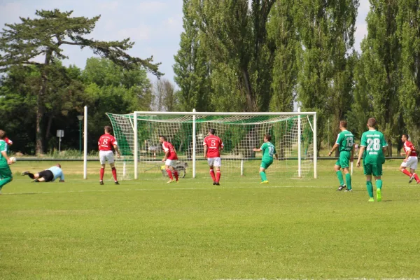 Meister 2017 - Letztes Spiel vs Abus Dessau 10.06.