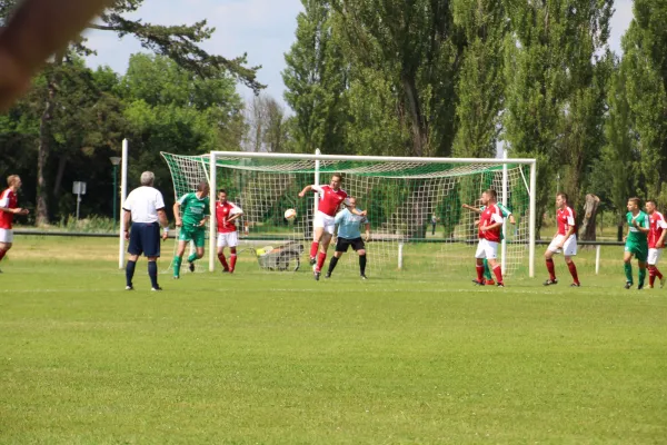 Meister 2017 - Letztes Spiel vs Abus Dessau 10.06.