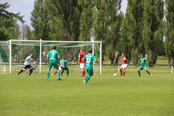 Meister 2017 - Letztes Spiel vs Abus Dessau 10.06.