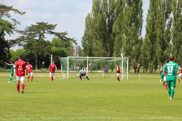 Meister 2017 - Letztes Spiel vs Abus Dessau 10.06.