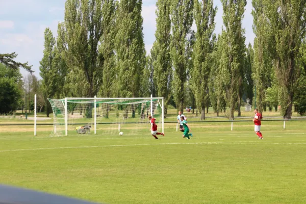 Meister 2017 - Letztes Spiel vs Abus Dessau 10.06.