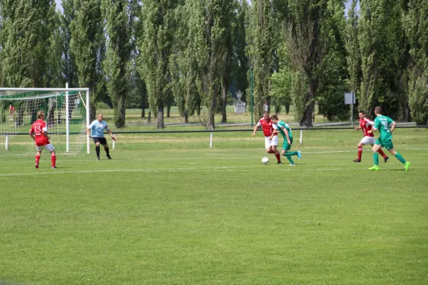 Meister 2017 - Letztes Spiel vs Abus Dessau 10.06.