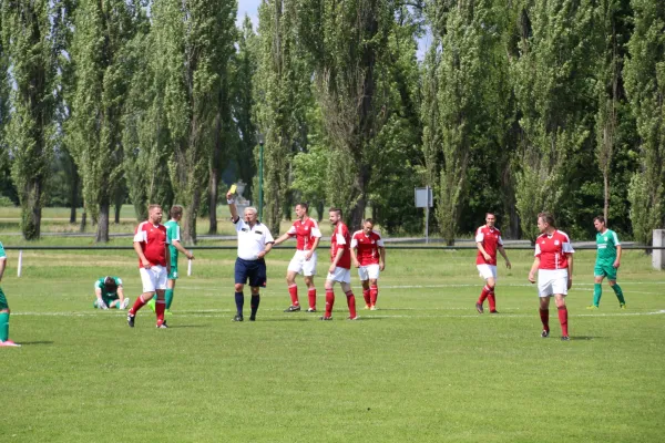 Meister 2017 - Letztes Spiel vs Abus Dessau 10.06.