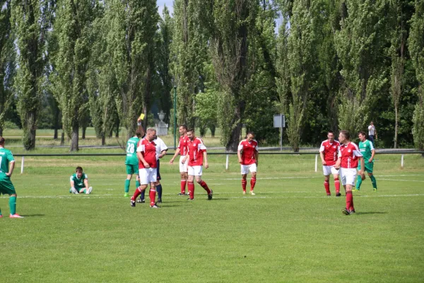 Meister 2017 - Letztes Spiel vs Abus Dessau 10.06.