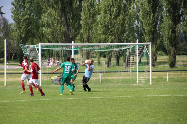 Meister 2017 - Letztes Spiel vs Abus Dessau 10.06.