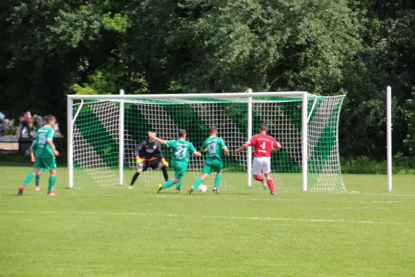 Meister 2017 - Letztes Spiel vs Abus Dessau 10.06.