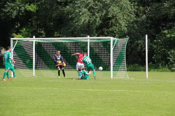 Meister 2017 - Letztes Spiel vs Abus Dessau 10.06.