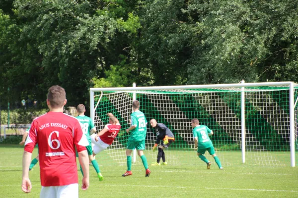 Meister 2017 - Letztes Spiel vs Abus Dessau 10.06.