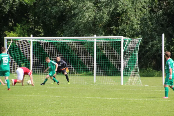 Meister 2017 - Letztes Spiel vs Abus Dessau 10.06.