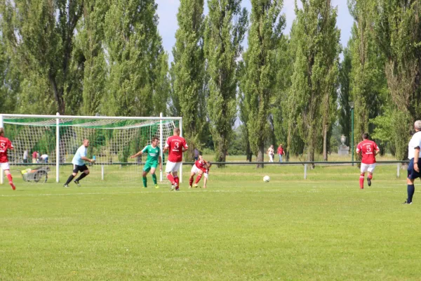 Meister 2017 - Letztes Spiel vs Abus Dessau 10.06.